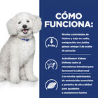 Hill's Prescription Diet Kidney Care k/d Early Stage pienso para perros, , large image number null